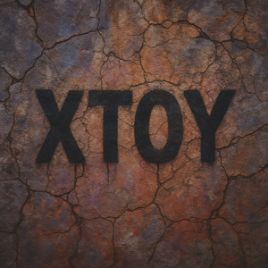 Xtoy