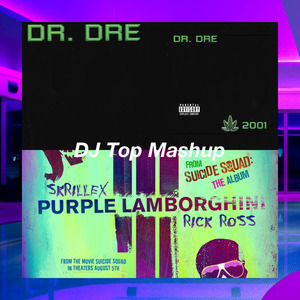 Dr. Dre x Skrillex & Rick Ross - Still D.R.E. x Purple Lamborghini (DJ Top Mashup)