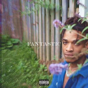 Fantastic (Explicit)