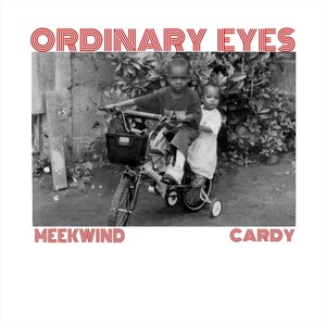 Ordinary eyes