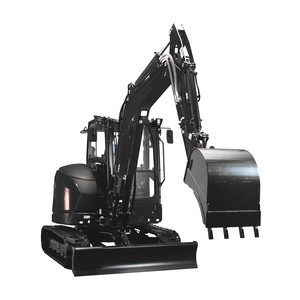 WOKE **** (Explicit)