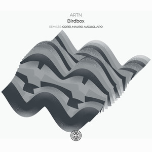 Birdbox (Mauro Augugliaro Remix)