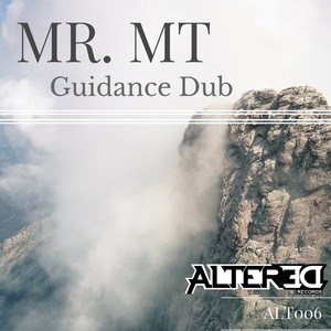 Guidance Dub (Original Mix)