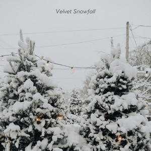 Velvet Snowfall