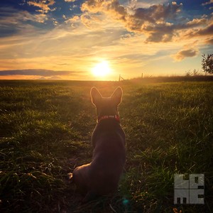 Good Times Are Coming (Roadhouse Bar & Bottles Sessions)