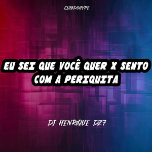 EU SEI QUE VOCÊ QUER X SENTO COM A PERIQUITA (Explicit)