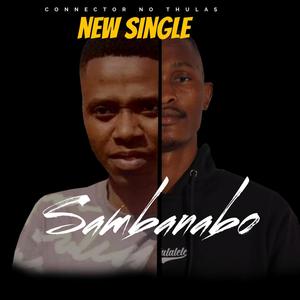 Thululalele - connectorNoThulas Sambanabo