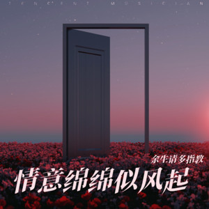 情意绵绵似风起