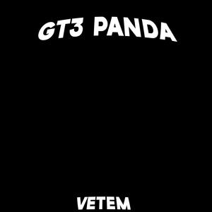 GT3 PANDA