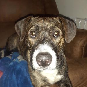 LETS GO LETS GET IT (Explicit)