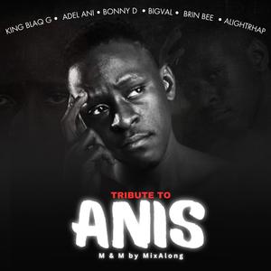 Tribute to Anis (feat. Adel Ani, Bonny D, Bigval, Brin Bee & Alight Rhap)