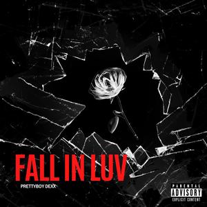 Fall In Luv (Explicit)