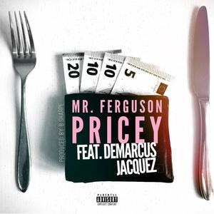 Pricey (Explicit)