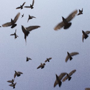 хтось когось