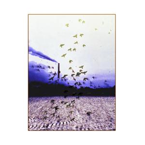 Pátej Prosinec (Explicit)