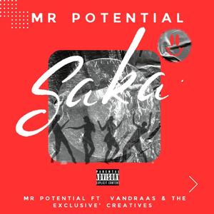 Saka (feat. Vandraas & The Exclusive'Creatives)