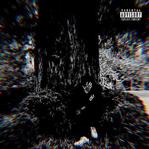 CANT DO NUN FOR ME (feat. Voolie) (Explicit)