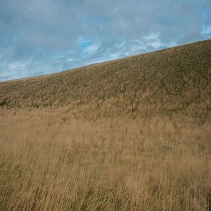 execute me, love me (Explicit)