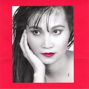 Tieng Hat Nua Voi An Ban 2015