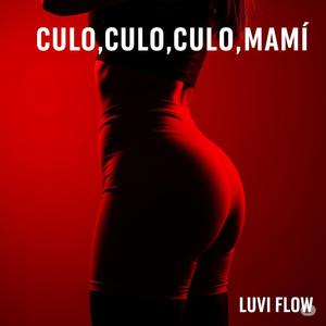 culo,culo,culo,mami (feat. Siul D, Sunos P, DJ VANTEL & Leo D|Versión Explícita|Explicit)