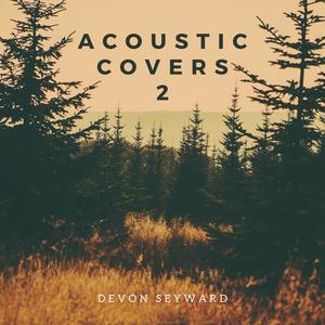 Acoustic Covers 2