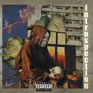 INTROSPECTION (Explicit)