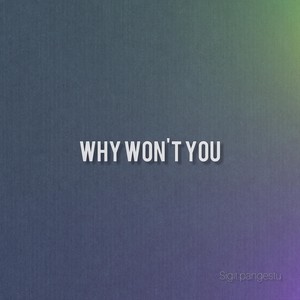 Why Won't You (Explicit)