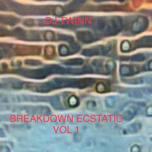 Breakdown Ecstatic, Vol. 1