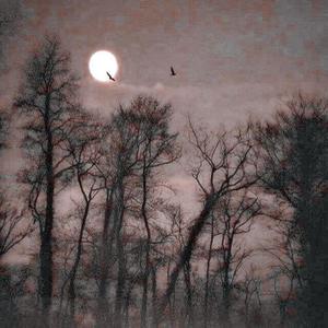 Castle Of Love (feat. yungcray) (Explicit)