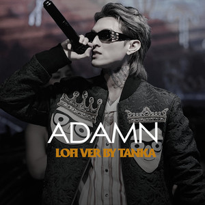 Adamn (Beat TanKha Lofi)