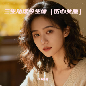 DJ小菲 - 三生劫续今生缘 (伤心女版)