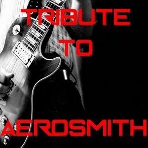 Aerosmith Medley: Pink / Walk This Way / Dream On / Janie's Got a Gun / Sweet Emotion / Fine / Love in a Elevator / Big Ten Inch Record / Toys in the Attic / Angel / Dude Looks Like a Lady / I Don't Wanna Miss a Thing