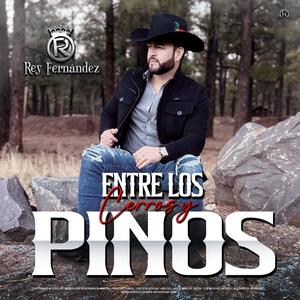 Entre los Cerros y Pinos