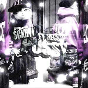 PUSSY (feat. NECKER) (Explicit)
