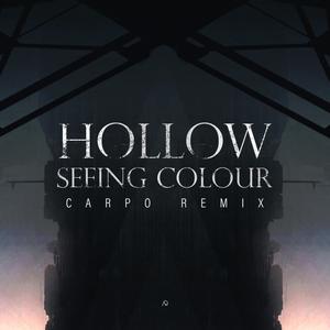 Seeing Colour (feat. Carpö)