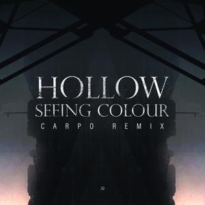 Seeing Colour(feat. Carpö) (Carpö Remix)