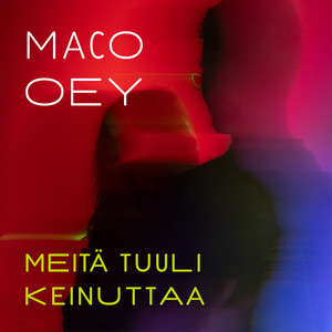 Meitä tuuli keinuttaa