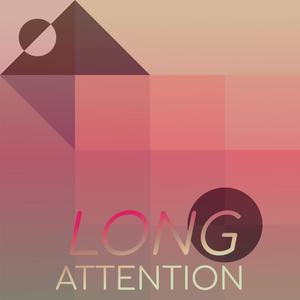 Long Attention