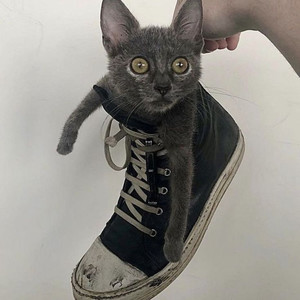 **** Of It (Explicit)