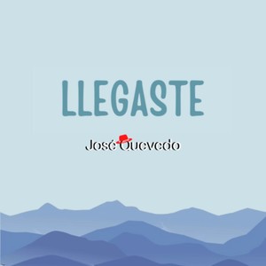 Llegaste