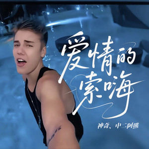 爱情的索嗨 (深情版)