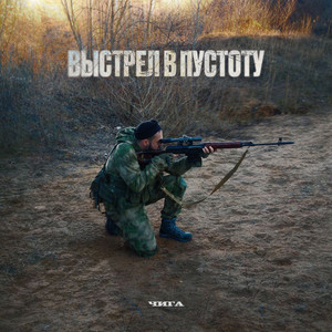 Выстрел в пустоту