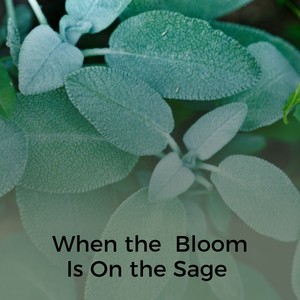 When the Bloom Is on the Sage