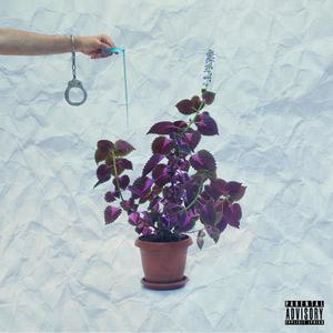 So Damn Fine (Explicit)