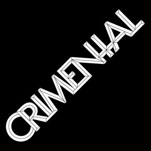 Fallout (InstruMentalTech Version)