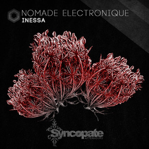 Nomade Electronique