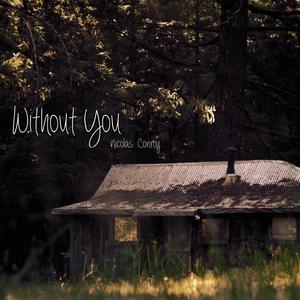 Without You