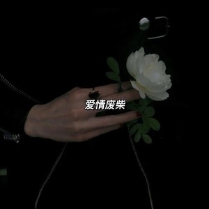 爱情废柴 (Live)封面
