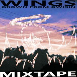 POOL PARTY (feat. ribo) (Explicit)