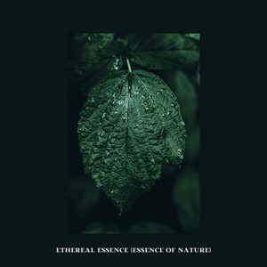 Ethereal Essence (Essence of Nature)